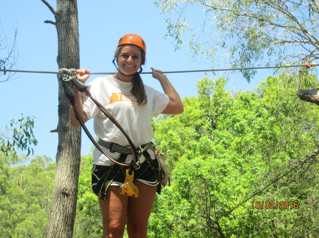 Treetop Challenge-可伦宾必去景点