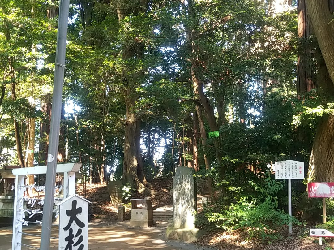 Makata Shrine景点图片