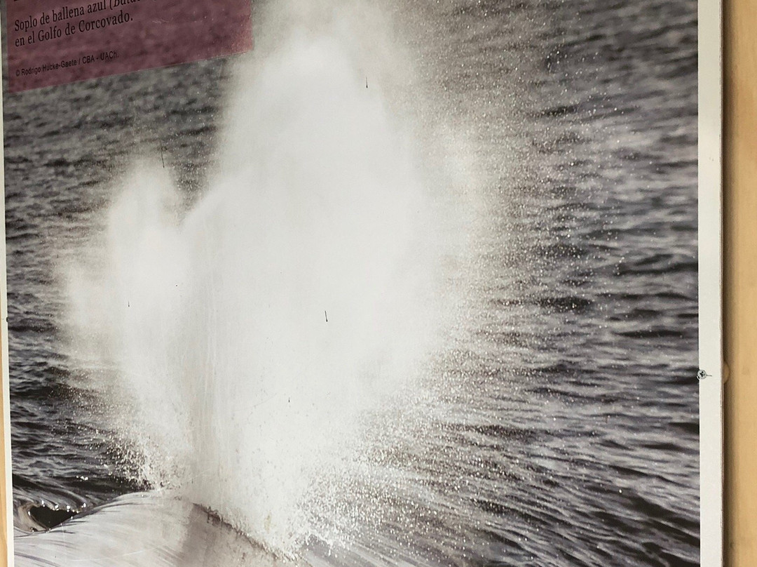 Ballenera Quintay-Quintay必去景点