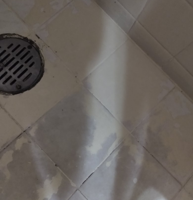 Hotel San Luis Lindavista主图