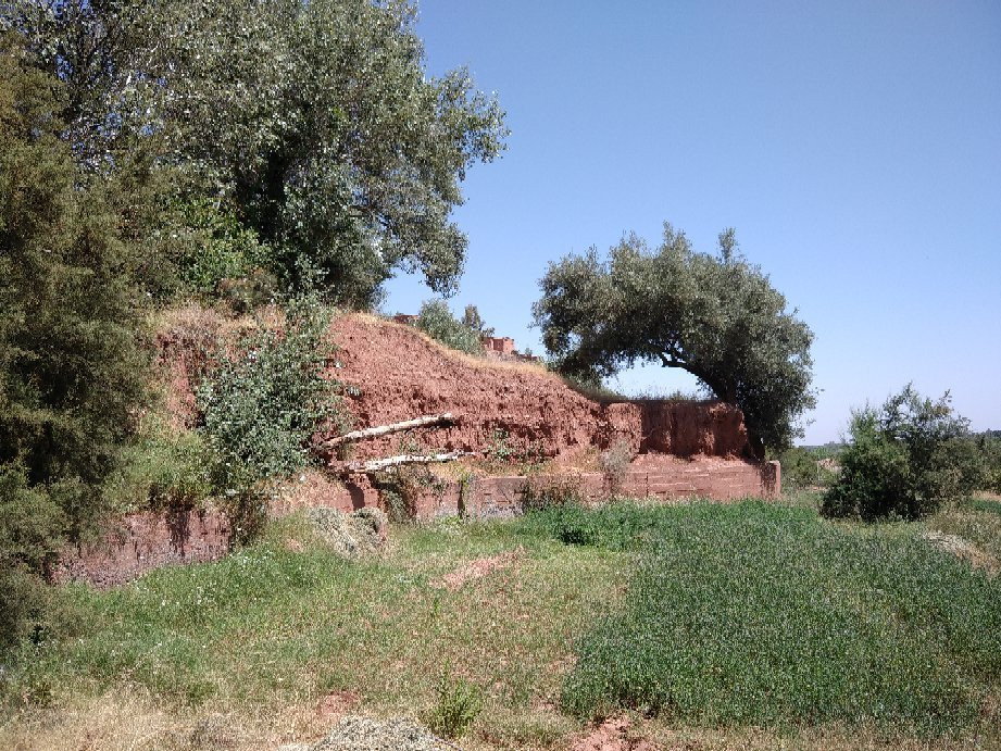 Igrane Food-Tahanaout必去景点