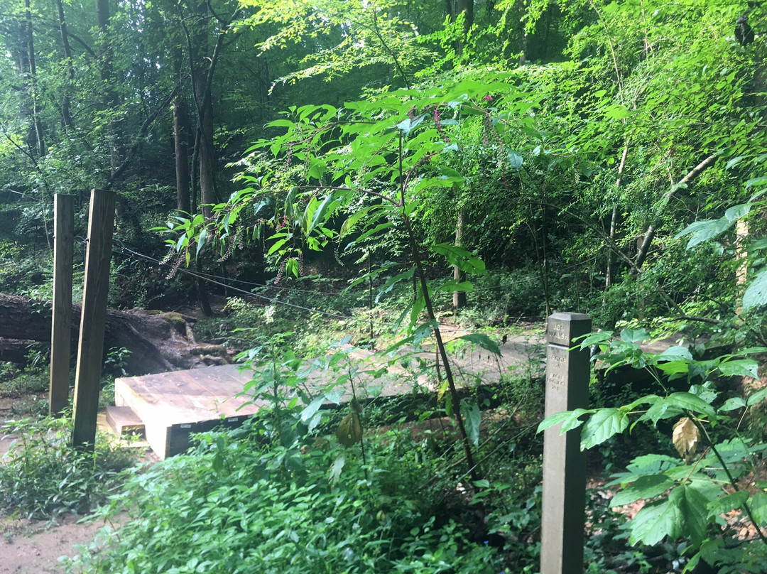 Ridgeview Park-桑迪斯普林斯必去景点