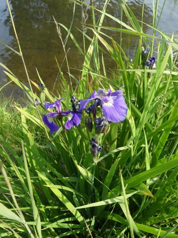 Lake Hood Harbor-安克雷奇必去景点