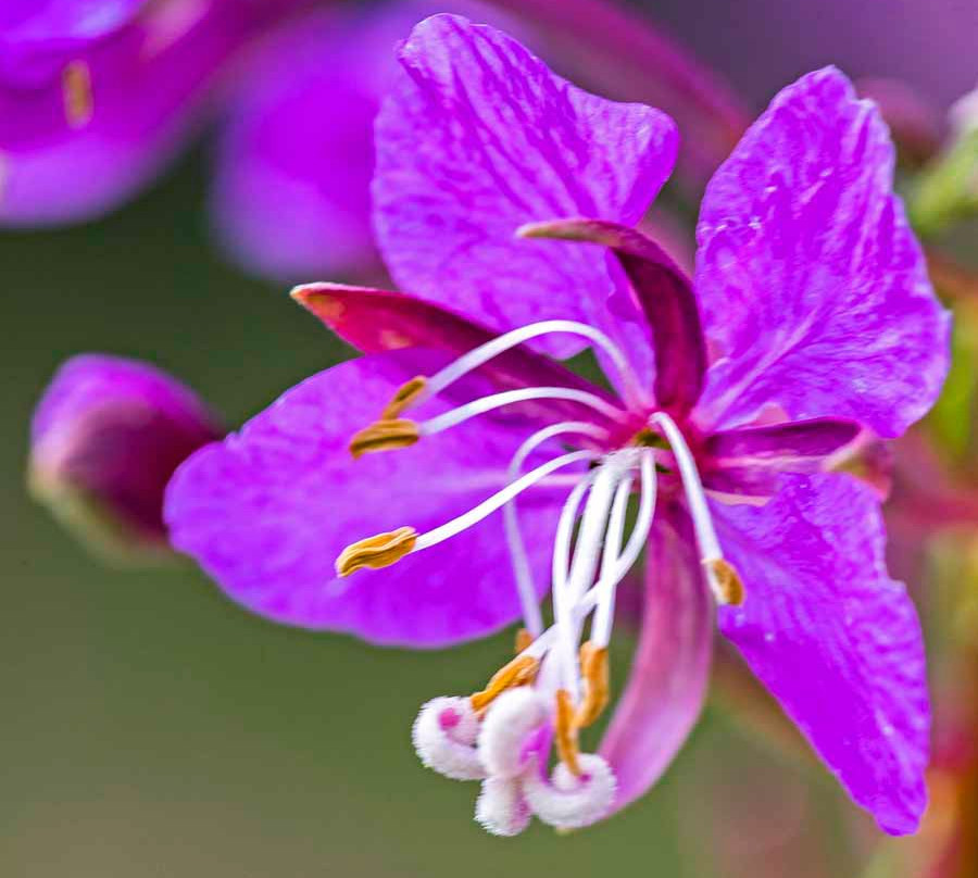 Lac du Bois Grasslands Protected Area-坎卢普斯必去景点