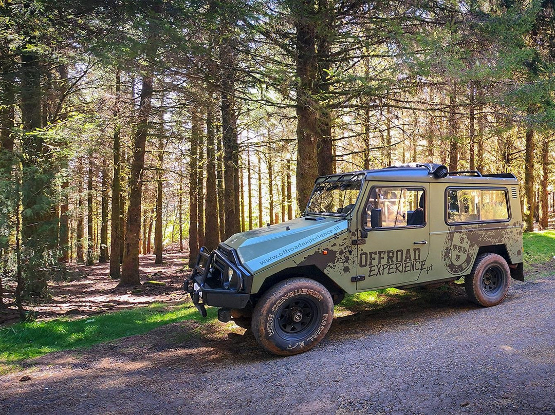 OFFROAD Experience-沙尔必去景点