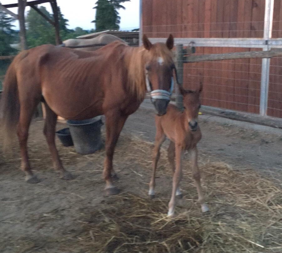 La Collina Storta-罗马必去景点