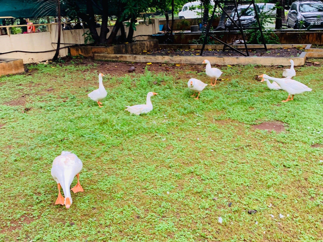 Nisarga Farmhouse主图