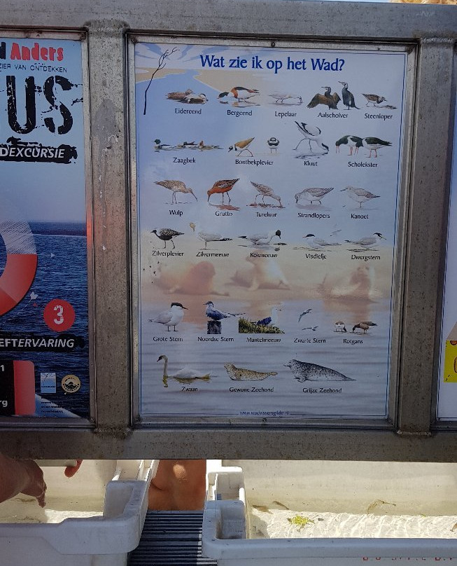 De Zee Leeft-Den Oever必去景点