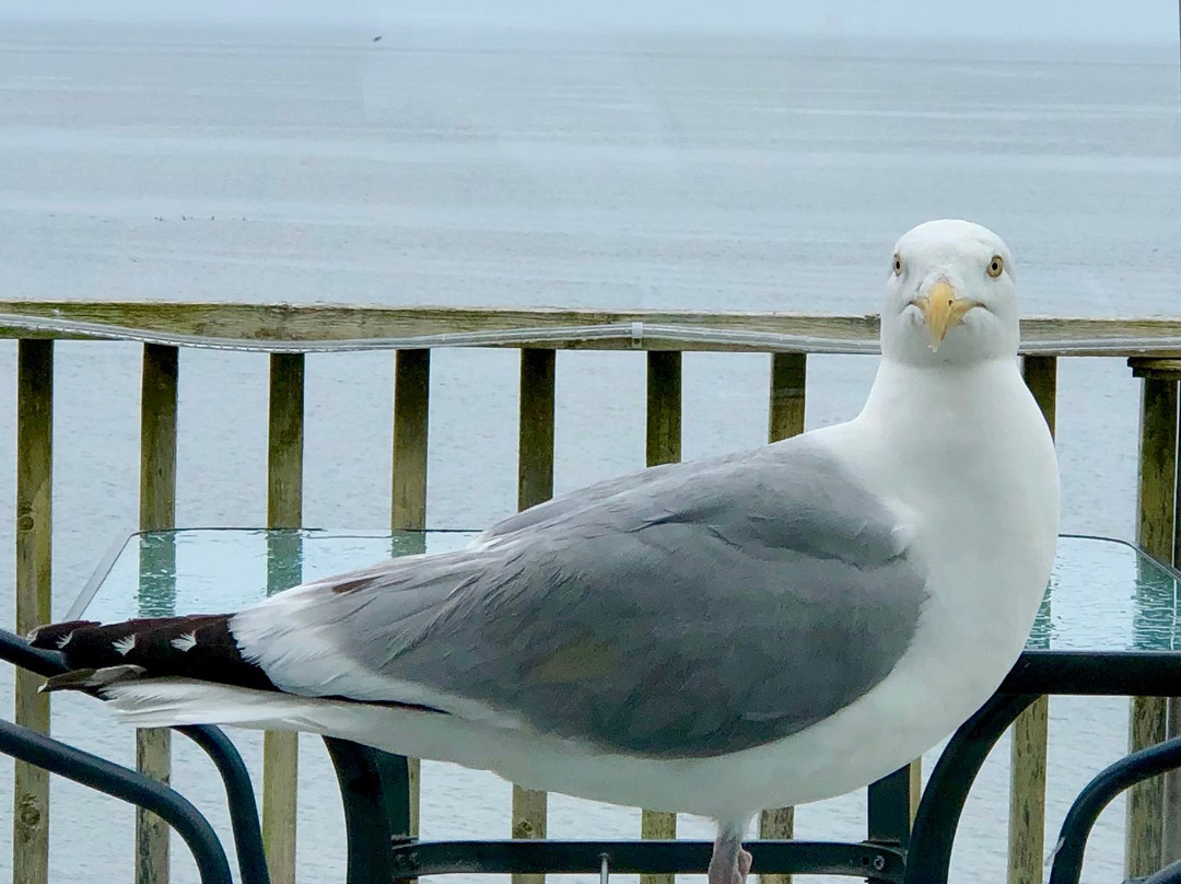 Baybreeze Restaurant & Motel主图