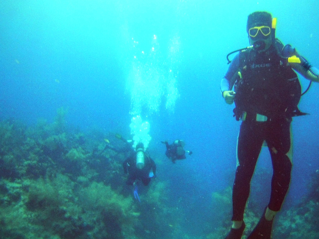 Chetumal Dive Club-切图马尔必去景点