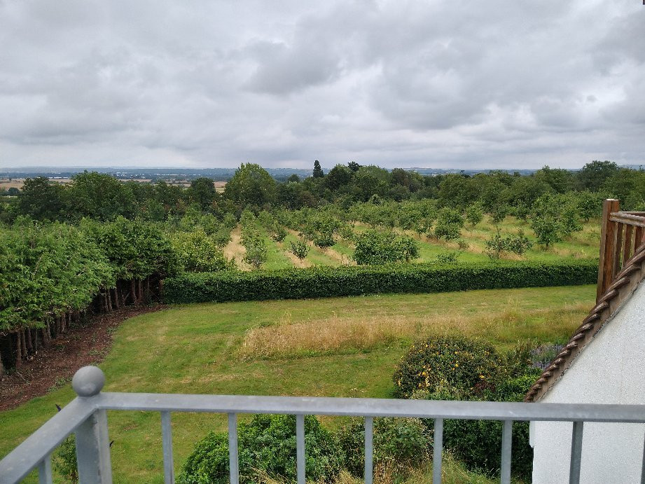 Shakespeare's View主图