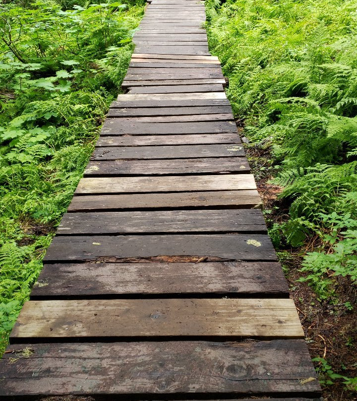 Falls Lake-Yale必去景点