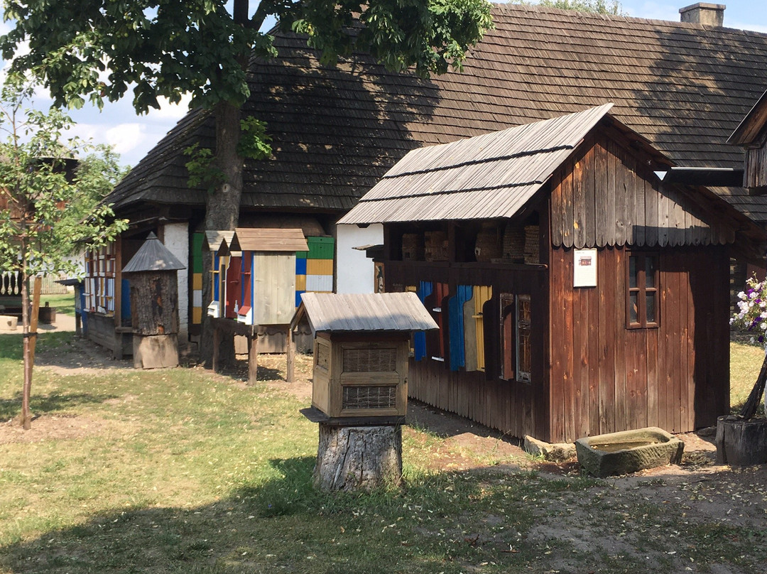 Polabske Narodopisne Museum Prerov nad Labem景点图片