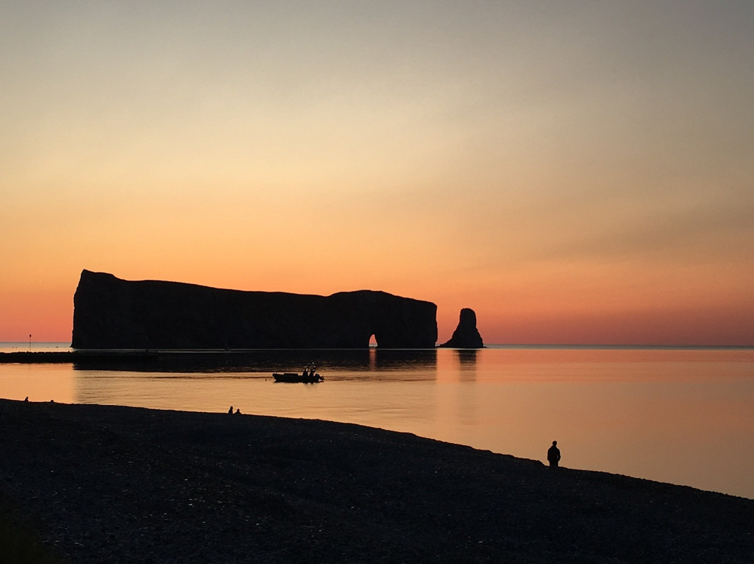 Hotel La Normandie主图