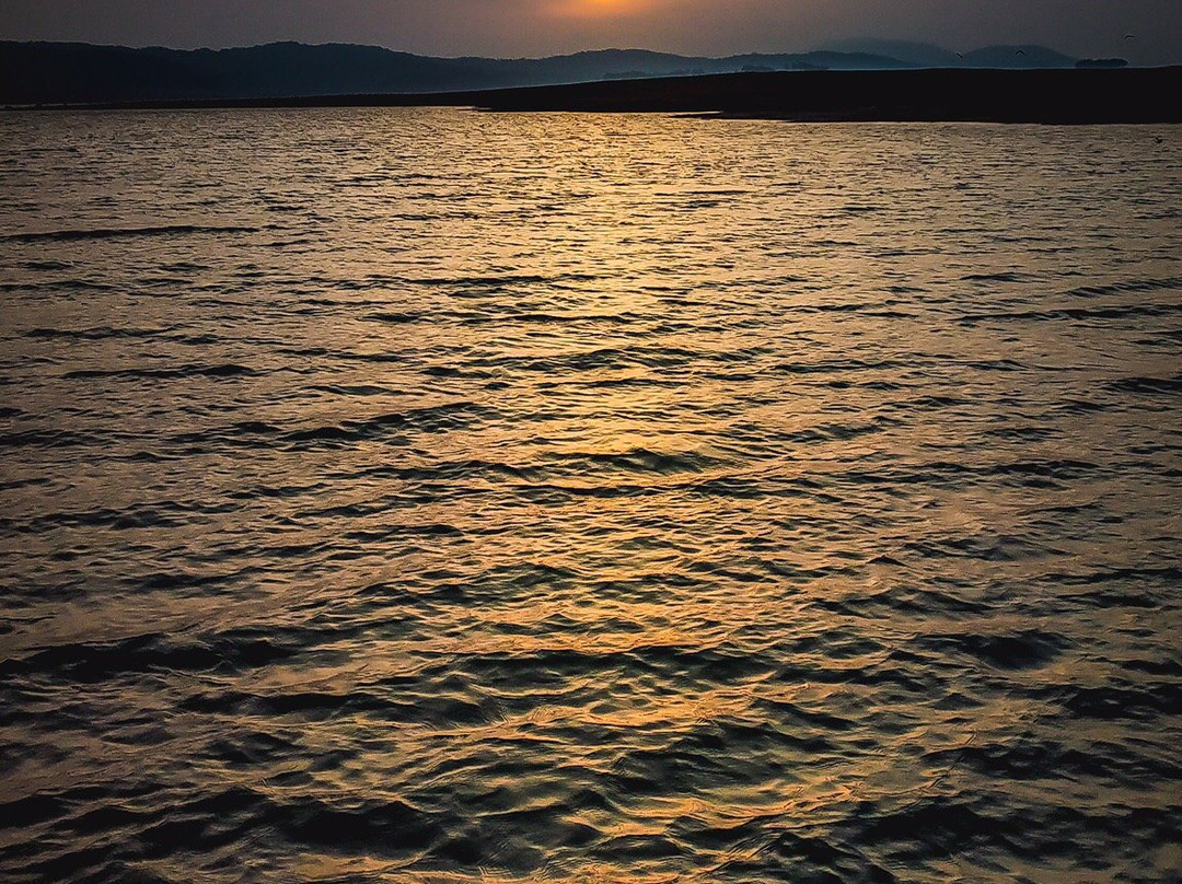 Dandeli Rangers Camp主图