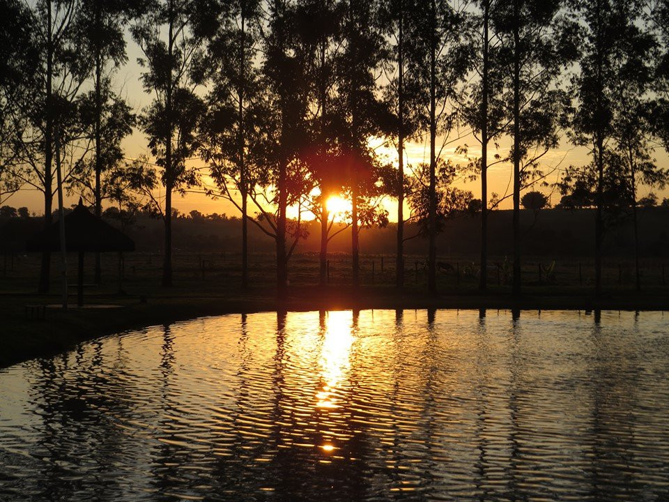 Sitio Castelinho主图