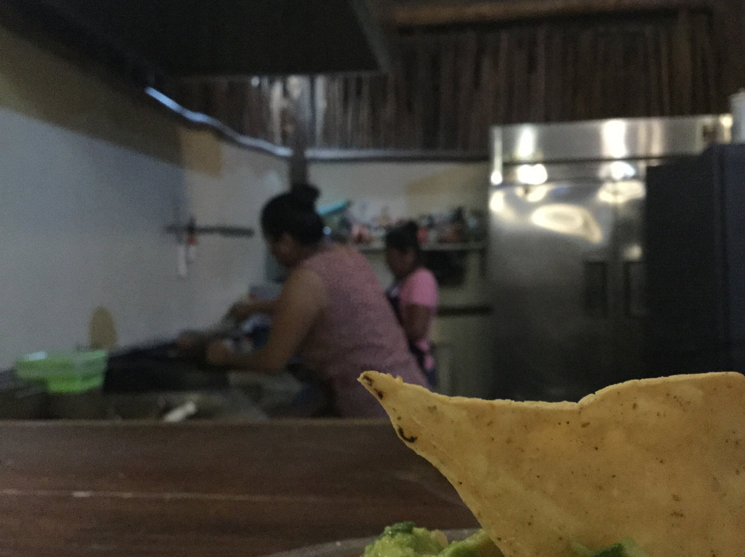 Akumal Natura Glamping主图