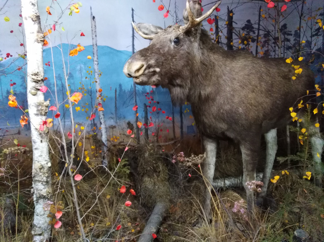 Severouralsk Local Lore Museum-Severouralsk必去景点