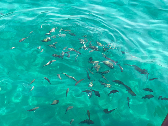 Terapêutica Viagens e Turismo-Duque de Caxias必去景点