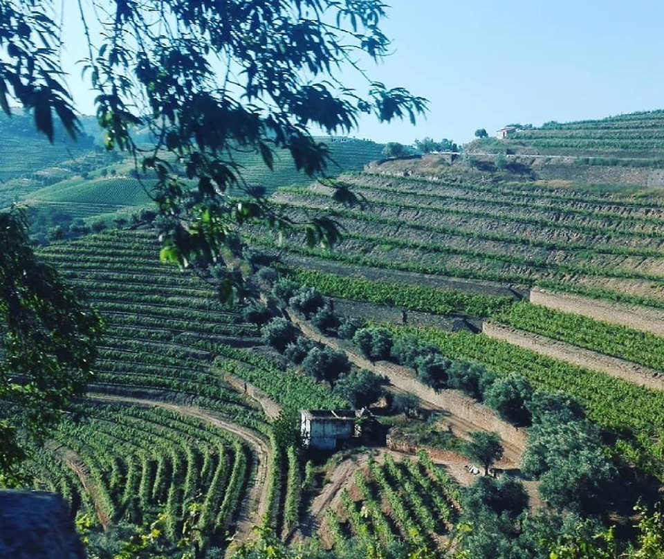Douro Best景点图片