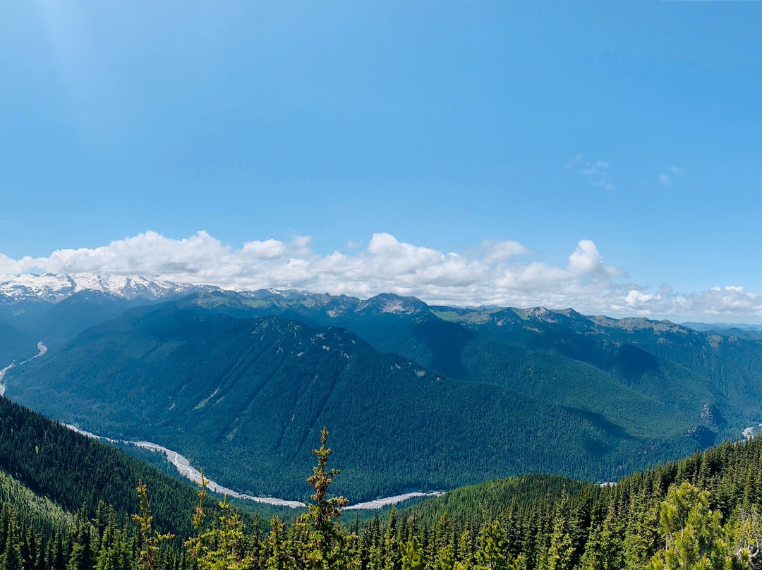 Crystal Mountain Scenic Gondola Ride景点图片