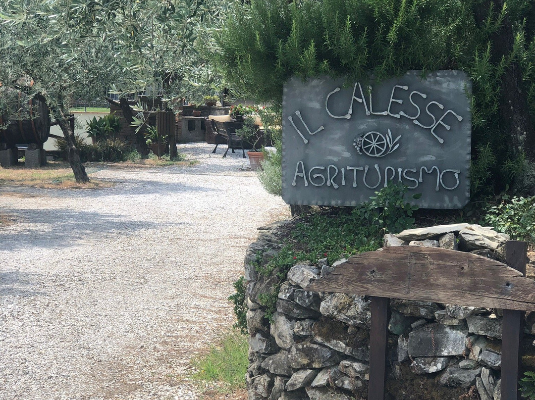 Agriturismo Il Calesse主图