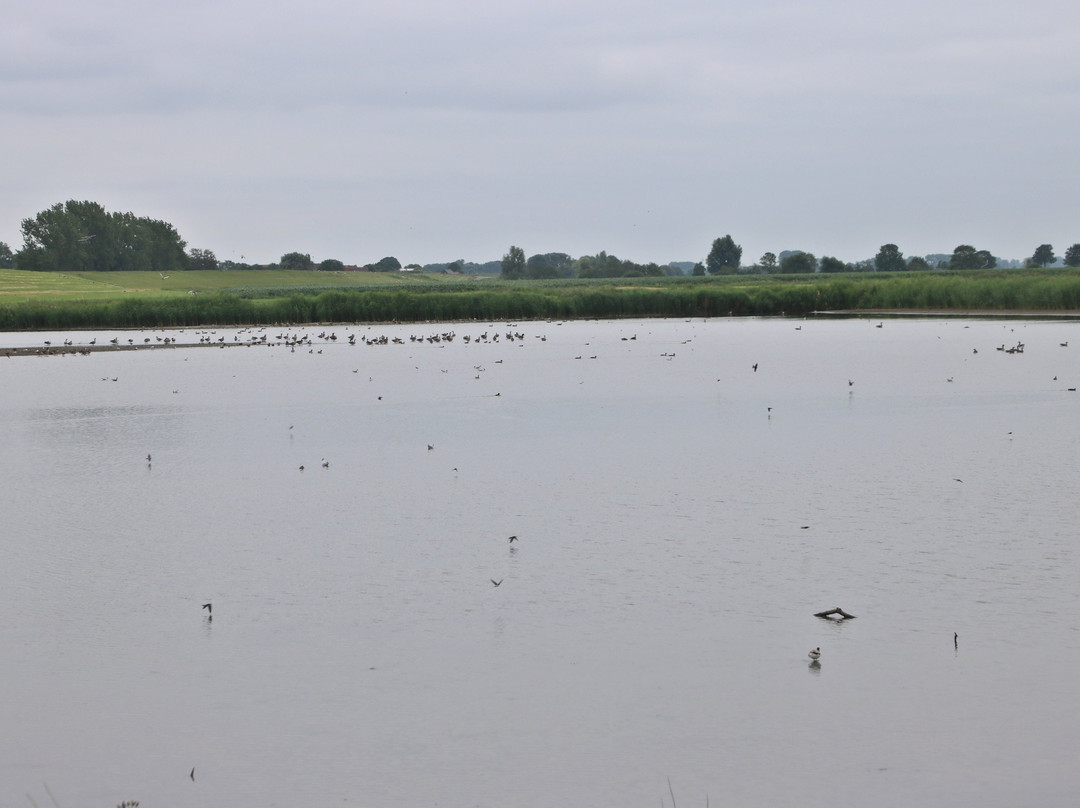 Aschwardener Mühle-Schwanewede必去景点