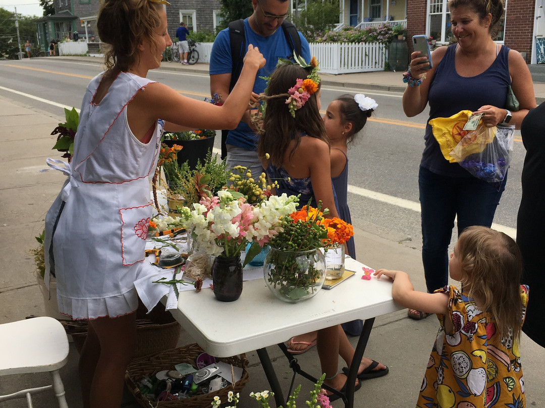 The Darius Inn主图