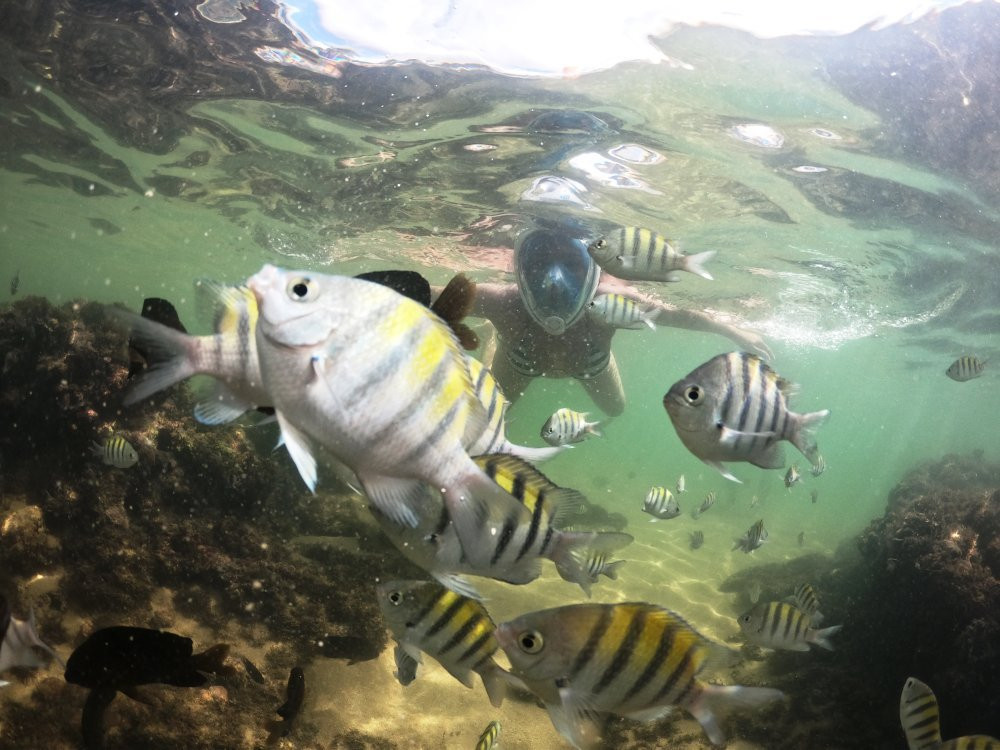 Mergulho Easy-普拉亚多海滩必去景点