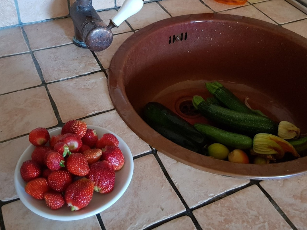 Agriturismo Specchiarussa主图