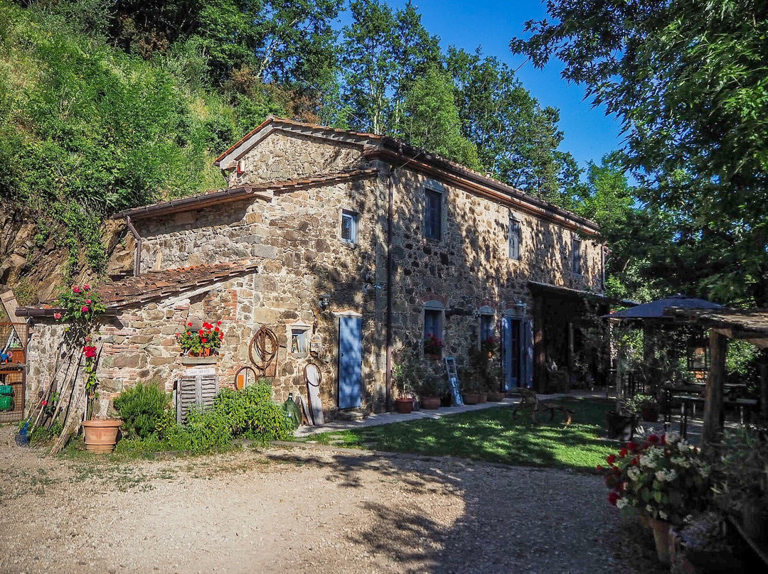 Agriturismo Tananei - Extra Virgin Olive Oil experience-Marliana必去景点