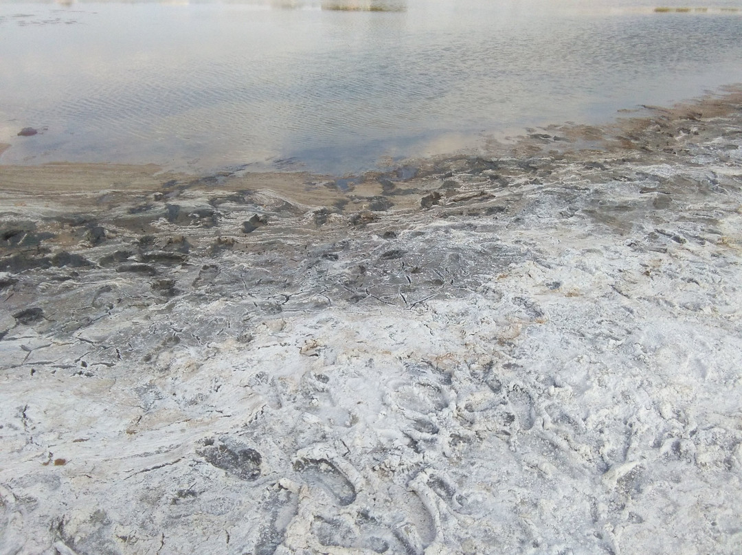 Complejo Lagunar景点图片