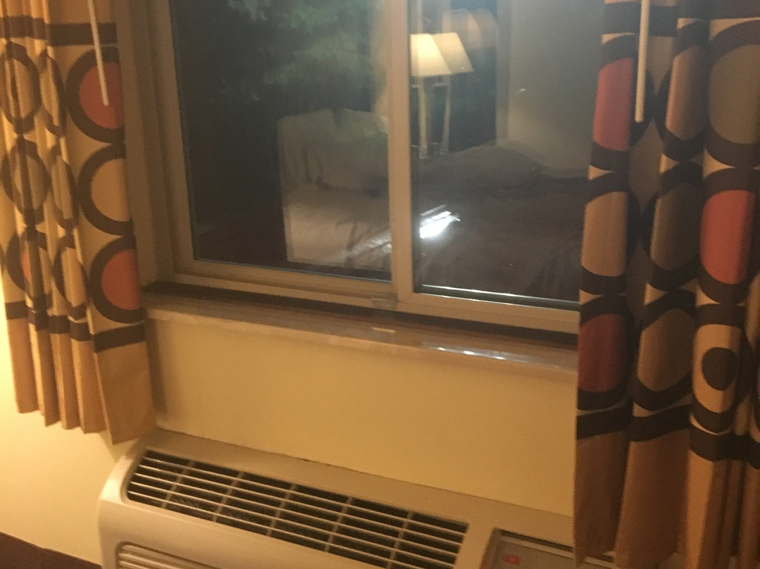 Super 8 by Wyndham Bloomington主图