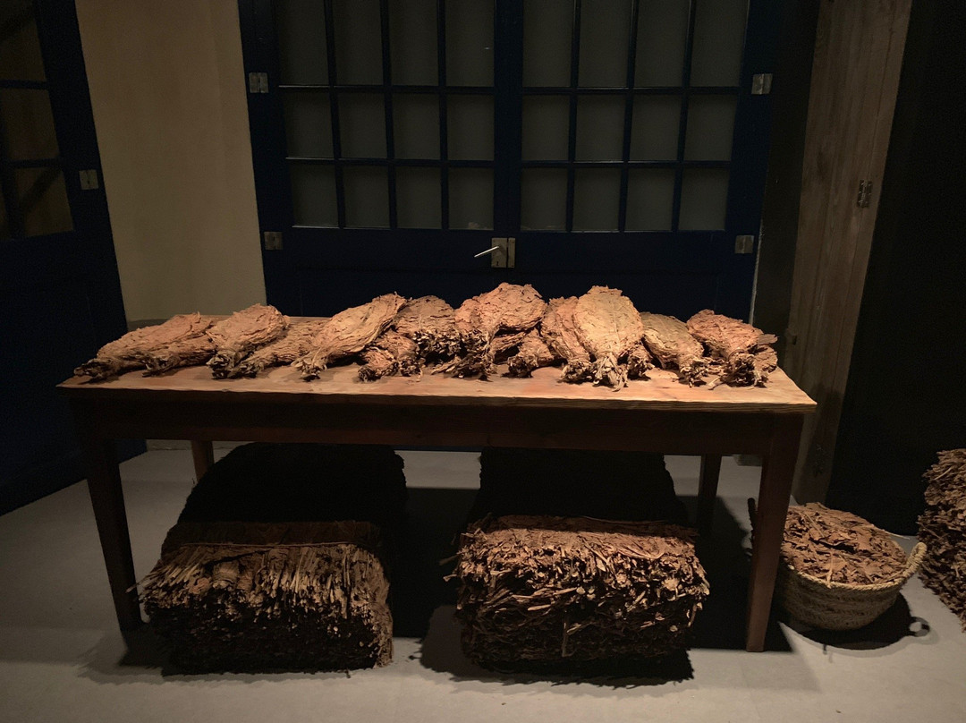 Museu del Tabac-Sant Julia de Loria必去景点