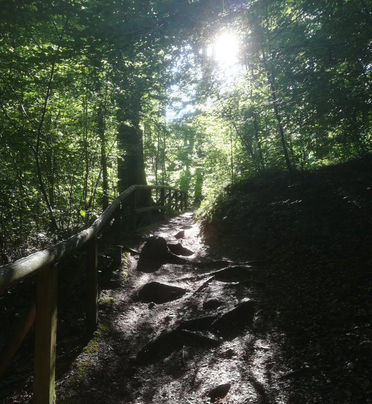 Felsenmeer-Hemer必去景点