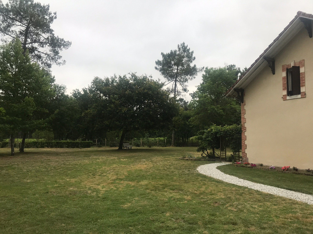 Au Clair Des Landes主图