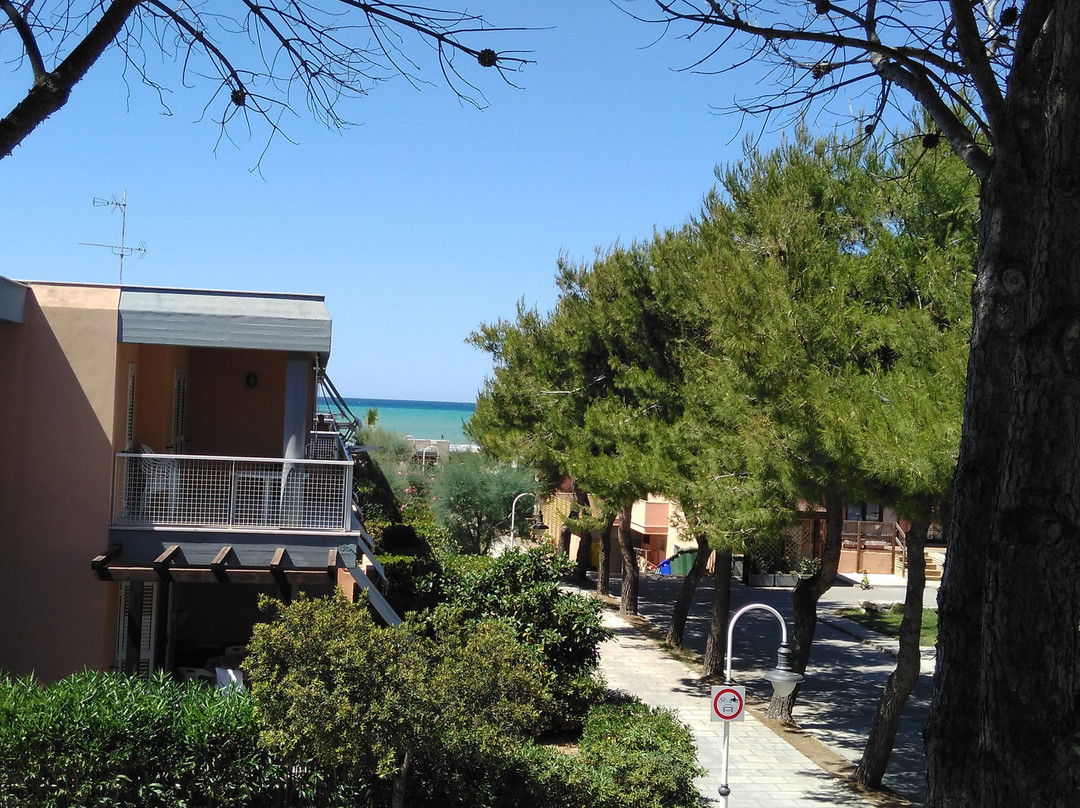 Blue Marine Village主图
