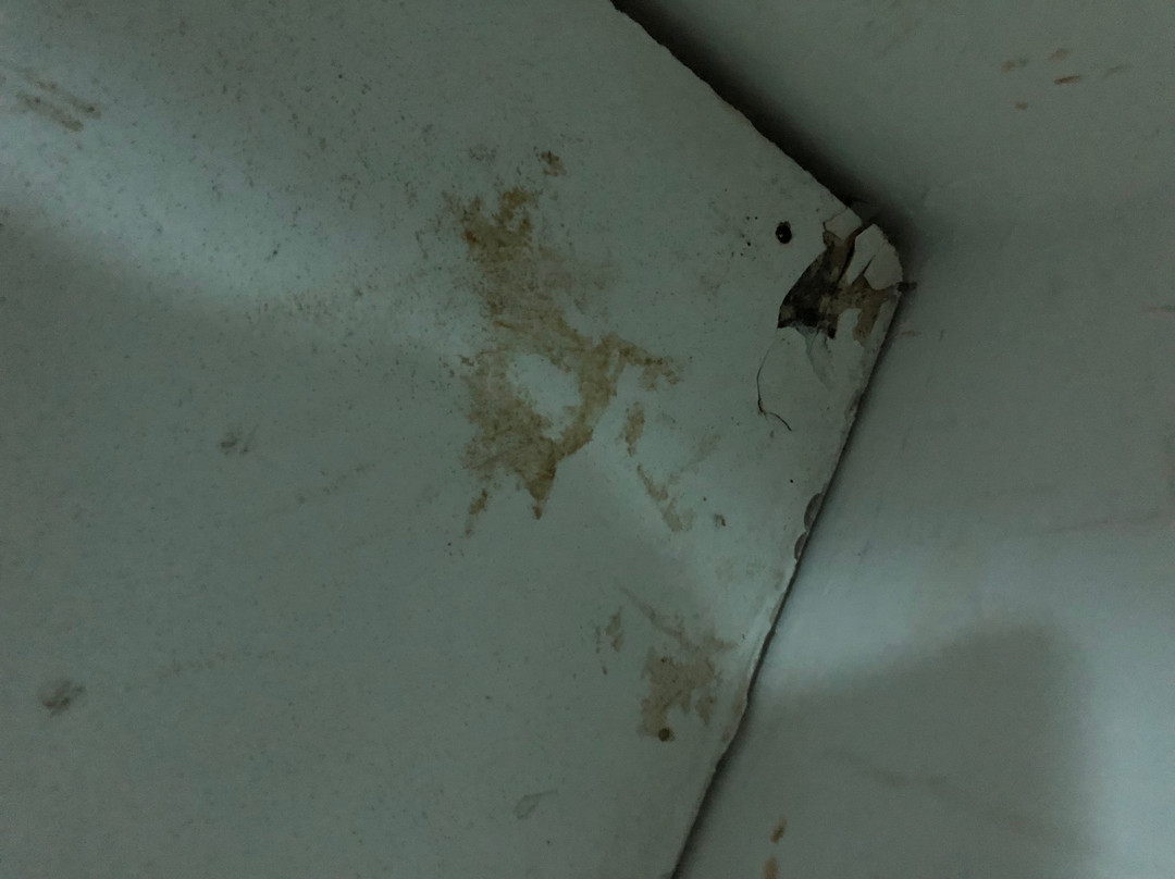 Hotel Novela Star主图