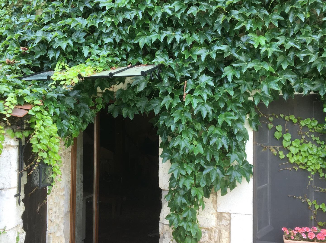 Rouge Boutique Hotel主图