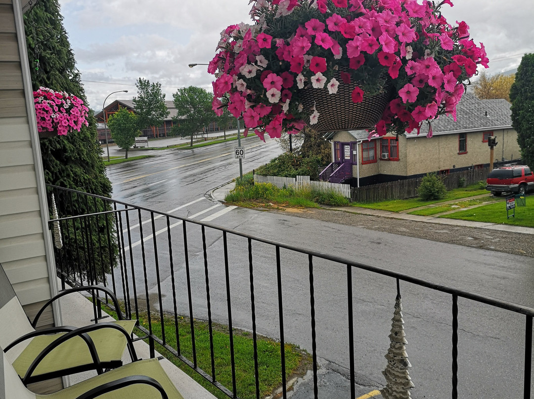 Almo Court Motel主图