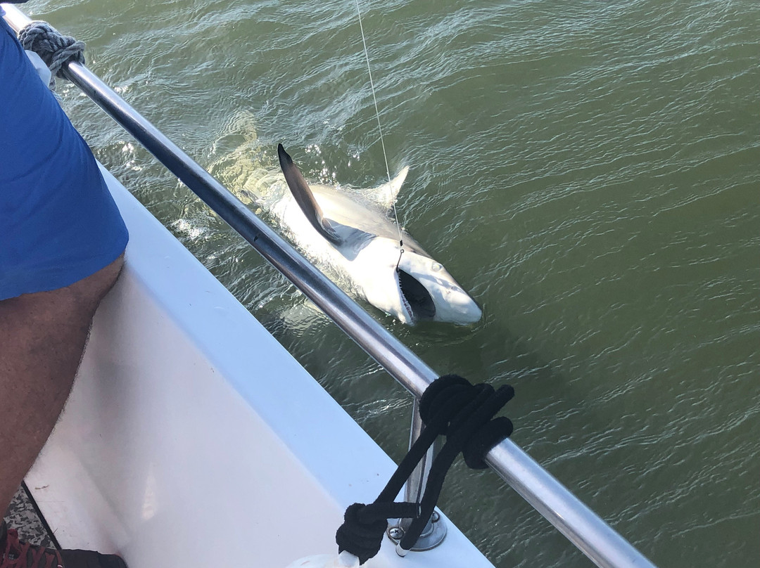 Coastal River Charters-萨凡纳必去景点