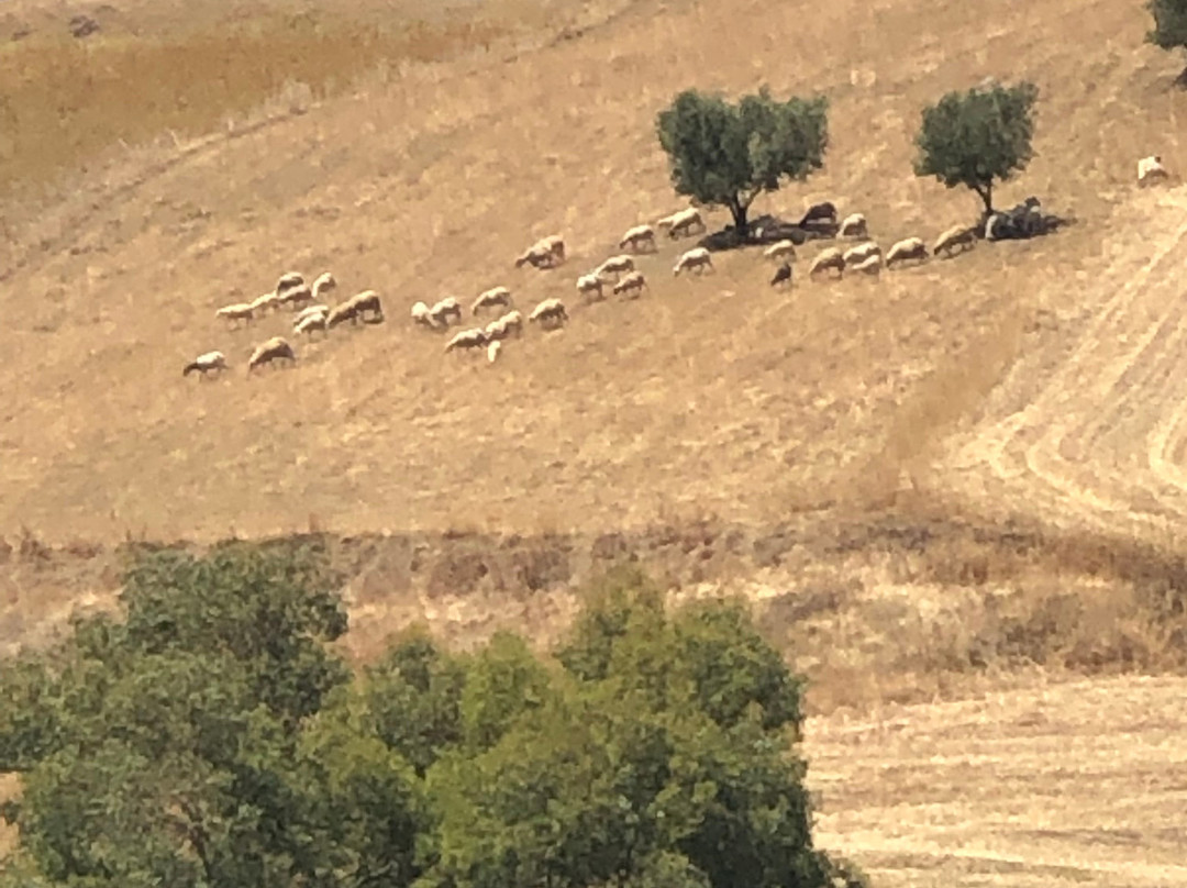 Hotel Sidi Harazem主图