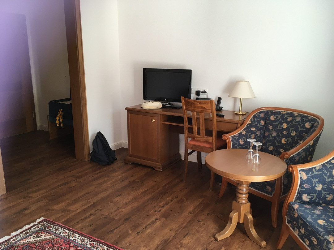 黑尔茨酒店主图