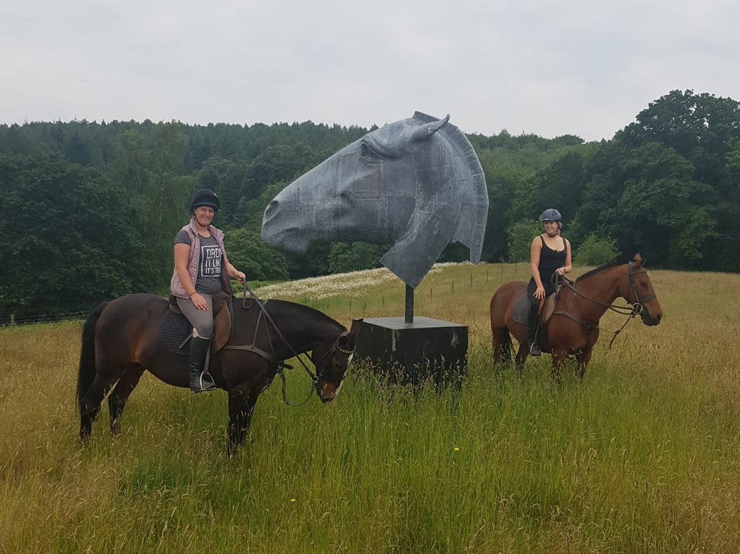 Slades Farm Equestrian Ltd景点图片