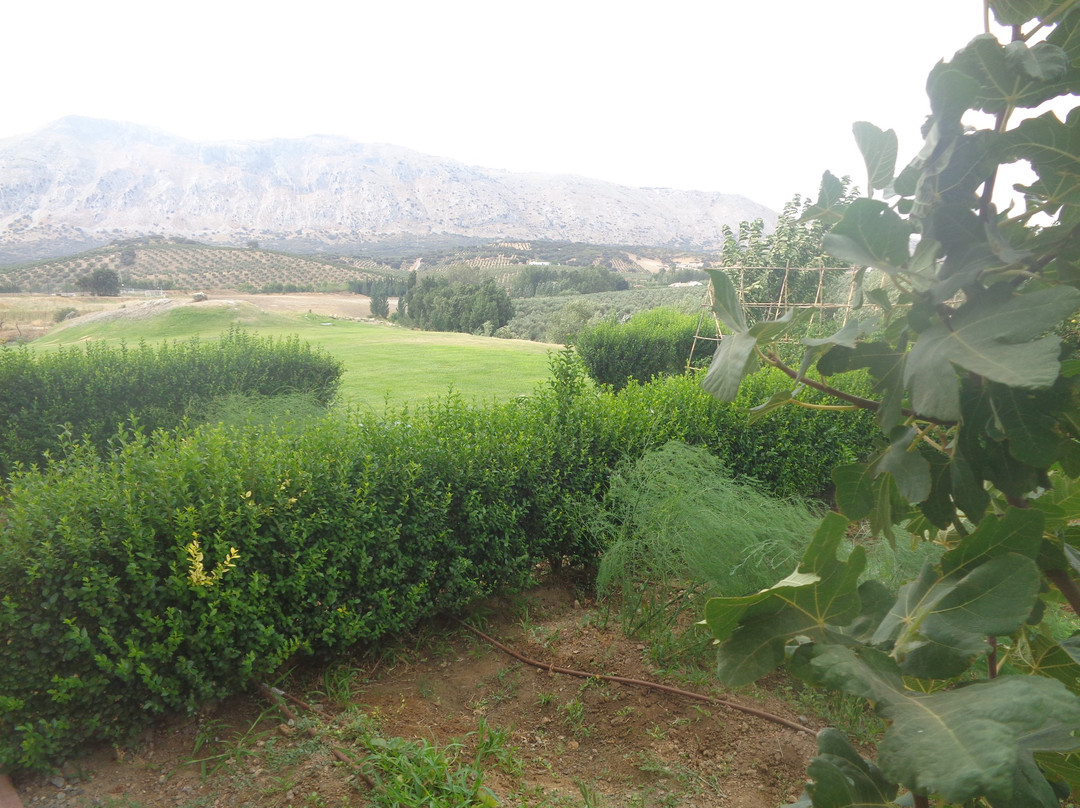 DWO Convento La Magdalena主图