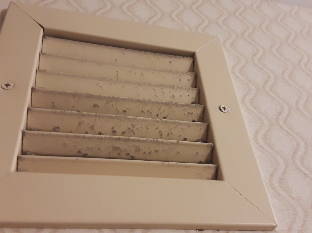 圣路易斯机场希尔顿花园酒店主图