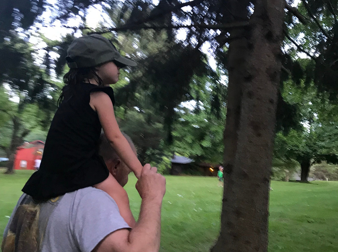 Birchcliff Resort主图