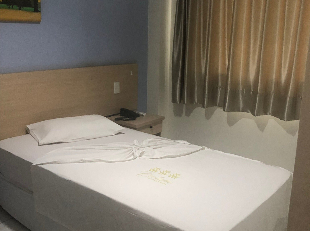 Ceolatto Palace Hotel主图