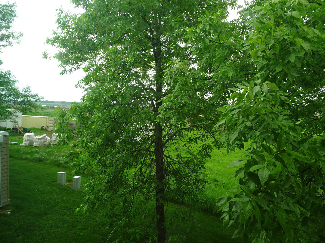 Quality Inn & Suites主图