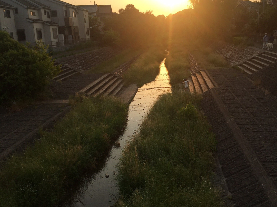 Musashino Park景点图片